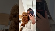  #minivlog #groomer #pies