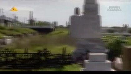 W. krainie. Wladcy. Smokow. Spellbinder2. 22