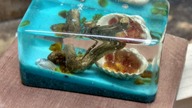 Żywica epoksydowa - Resin aquarium DIY - Akwarium