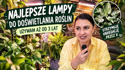 NAJLEPSZE OŚWIETLENIE DO ROŚLIN!