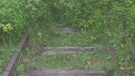 LGV30_OpenCamVID_20200608_175937_Vegetation_on_old_railway_tracks_2560x1920_30fps
