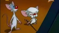 Pinky i M&oacute;zg S03E22 - Krawiec i myszy/Instruktorzy