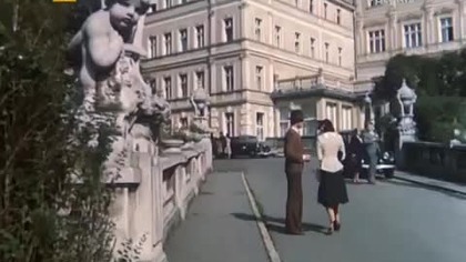 Słona róża (1982)