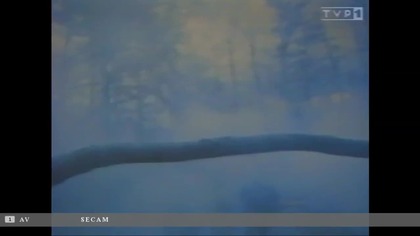 Złośliwe Demony ..VID-1715180413862