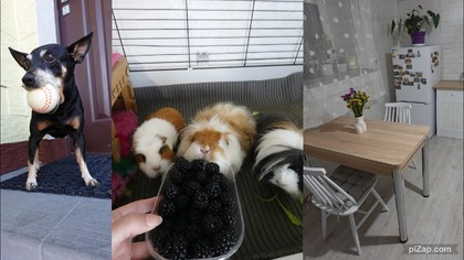 Food haul i zmiany w mojej kuchni