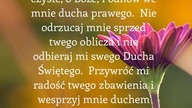świadectwo - Katastrofa na Teneryfie