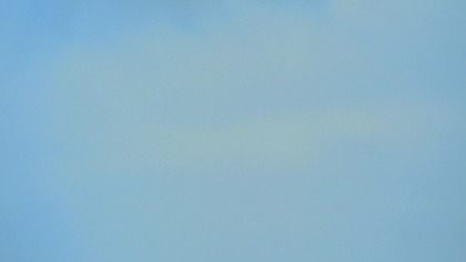 DELON.  - BASEN.  (1969) lektorektor