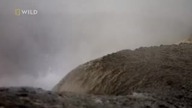 Dziki Park Yellowstone.  Ogień i lód (2018) [Lektor PL]