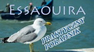 Essaouira - praktyczny poradnik