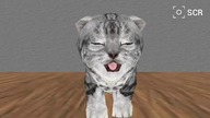 CAT SIMULATOR