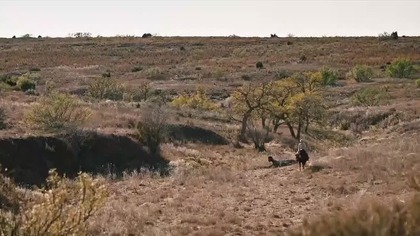 Yellowstone S04E07 (2021 Lektor pl )