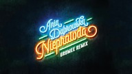 Ania Dąbrowska - Nieprawda Gromee Remix (Official Audio)