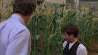 Dzieci kukurydzy III: Miejscowy żniwiarz / Children of the Corn III: Urban Harvest (1995) [Lektor PL