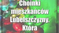 Choinki mieszkańców Lubelszczyzny.  Która najpiękniejsza?
