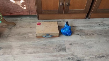 #355 Wiertarka Celma i przystawka szlifierka kątowa!