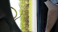 Uroki mieszkania w Australii