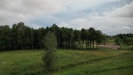 Krzywe - 06. 2024.
