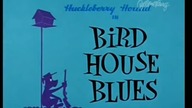 Pies Huckleberry 16 Ptasia Budka Blues