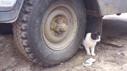 Tom and Jerry - Rosyjska Edycja