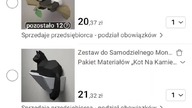 Kiedy koszyk Temu czeka na moją wypłatę