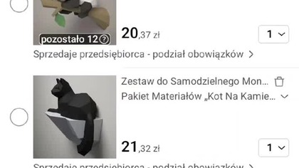 Kiedy koszyk Temu czeka na moją wypłatę