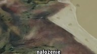 PRZEMIANA W NOSFERATU #horror #ciekawostki #nosferatu