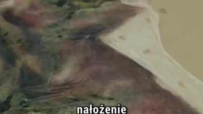 PRZEMIANA W NOSFERATU #horror #ciekawostki #nosferatu