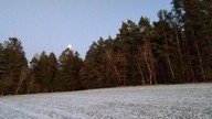 Przy księżycu w czarnym lesie - Gracjan Roztocki