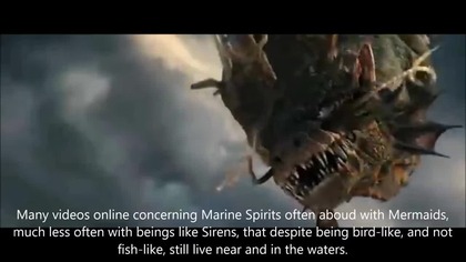 Who Are Marine Dragons - A Marine Spirit Speaks