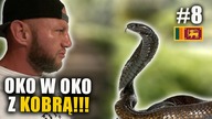 Oko w oko z jadowitą Kobrą ! BAŁEM SIĘ SERIO ! (To nie CLICKBAIT) #8