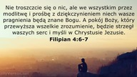 Janek Pajor - Shalom Jerusalaim
