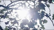 Skam France S03E01 - Klip #1 PL