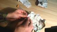Unpacking Brachypelma smithi od Arachnida.pl