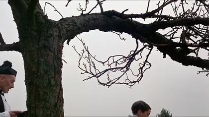 Kiss Of The Vampire (1963)