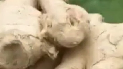 zdrowie to jedzenie dobrych rzeczy plus przyprawy zioła unikanie złych rzeczy i wyłacz telewizor