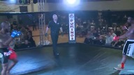 MMA - Szybki nokaut