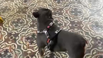 Na stacji mokro, ale to nie ja: