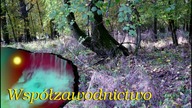 Współzawodnictwo