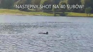 Bystrzak TV - Tajfun zażywa Kąpieli w zalewie a Siwy i Bystrzak się opalają