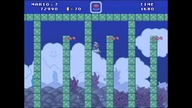 Mario Forever Rhzoidnik World SakuraMotchi 2020