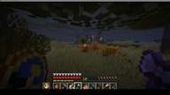 A skeleton on my pumpkins #minecraft #gaming #Game #Short #Shorts
