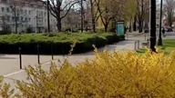 Bydgoszcz! Spacer po centrum, dzielnica Muzyczna, Rynek! Bykon i przygotowania do Konwentu! Zjazd SK