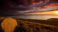 Ostrzeżenie - Wszyscy Ci, Którzy Padną Na Twarz I Będą Się Modlić Do Mego Krzyża, Otrzymają..