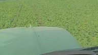 Chłop wyjechał na 3 dni a w tym czasie z rzepaku się kapusta zrobiła