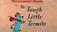 Pies Huckleberry 22 Termit twardziel