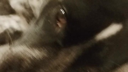 5 października 2024