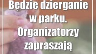 Będzie dzierganie w parku.  Organizatorzy zapraszają