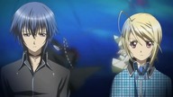 Shugo Chara 100 Lektor PL