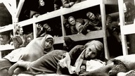 [2/3] Urządzili nam święta z trupami pod choinką - Lekcja prawdziwej historii