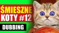 ŚMIESZNE KOTY #12  DUBBING: MATT OLECH